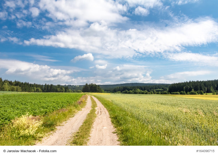 Der Pächter muss Pachtverträge in der Landwirtschaft einhalten. Sonst droht Schadensersatz